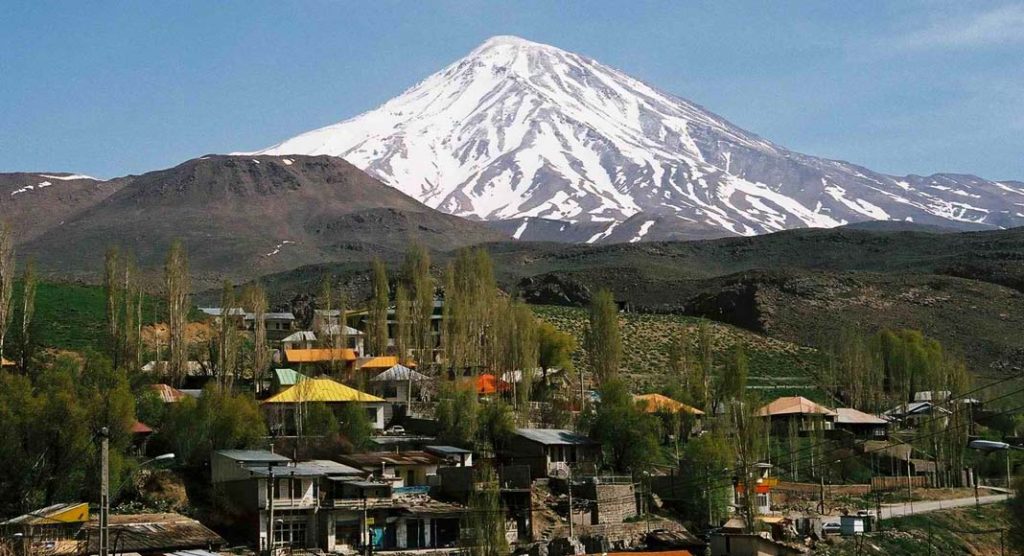 وب سایت کاج سرویس